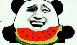 吃瓜群众客服,揭秘网络舆论背后的神秘力量