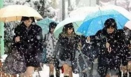 暴风雪吃瓜群众,见证冬日狂欢