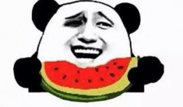 吃瓜群众多少人