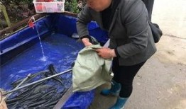 五一节吃瓜群众,全民“吃瓜”盛宴，热点事件盘点