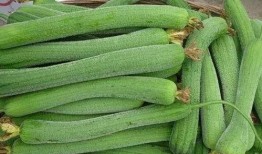 爱吃糖的一个吃瓜群众,吃瓜群众的甜蜜生活