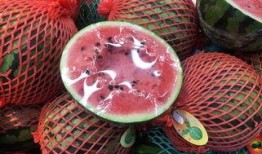 吃瓜群众玉盘,揭秘娱乐圈的“吃瓜”风云