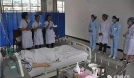 舒城吃瓜群众事件最新消息,最新进展揭秘，真相逐渐浮出水面