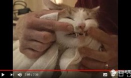 吃瓜群众们都在等下一句,下一句悬念揭晓！