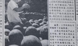 太康吃瓜群众事件真相,揭开真相背后的网络迷雾