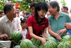 瓜农吃瓜群众