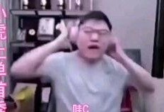 吃瓜群众见人说人话视频,揭秘网络视频中的真实对话