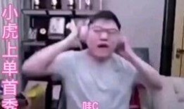 吃瓜群众见人说人话视频,揭秘网络视频中的真实对话