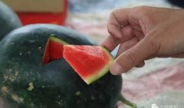 吃瓜群众炎安,吃瓜群众的独特视角与趣味解读