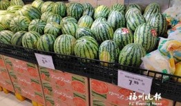 吃瓜群众养乐多视频,趣味养乐多，健康生活新风尚