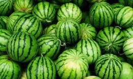 蟠桃街的吃瓜群众是什么