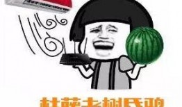 吃瓜群众是社会类属吗,社会现象下的群体画像