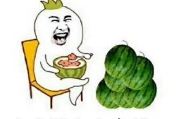 一个快乐的吃瓜群众,一位快乐吃瓜群众的欢乐日常