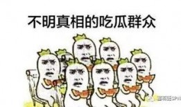 吃瓜群众看蛇,神秘与恐惧的交织