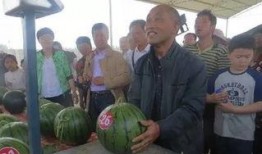 庄河吃瓜群众案件最新进展