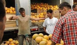 爱吃糖的一个吃瓜群众,吃瓜群众的甜蜜生活