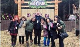 团队里的吃瓜群众,揭秘那些不为人知的幕后故事