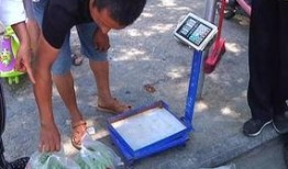 吃瓜群众怎么放手机上看,轻松放手机，畅享视听盛宴