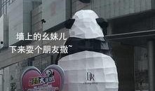熊猫吃瓜群众现场,揭秘网红现象背后的社会现象
