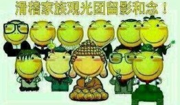 吃瓜群众养乐多视频,趣味养乐多，健康生活新风尚