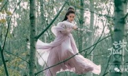 吃瓜群众陆雪琪微博,揭秘娱乐圈幕后故事