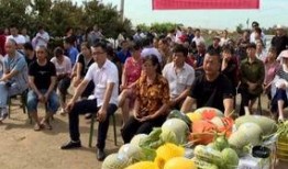 吃瓜群众赶场子视频大全,揭秘热门视频背后的狂欢现场