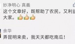 卖东西给吃瓜群众,揭秘卖瓜小贩与吃瓜群众的欢乐交易