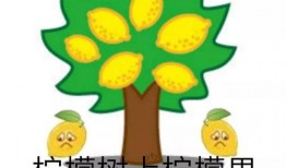 吃瓜群众和柠檬精,揭秘网络社交中的两种独特现象