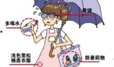 群众吃海瓜视频素材下载,群众品尝海瓜视频走红网络