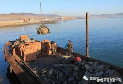 乌衣巷吃瓜群众岱中岱