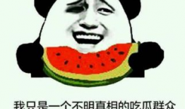 吃瓜群众谢树芬是谁,网络红人的崛起之路