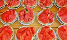 专业吃瓜群众吃遍天下,遍尝天下美食，揭秘人间美味