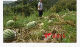 感恩吃瓜的群众,见证时代变迁的民间力量