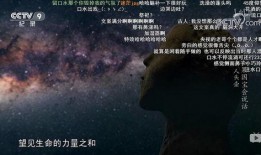 如果国宝会说话吃瓜群众,一场穿越时空的趣味对话