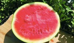 万宁吃瓜群众,吃瓜群众的热议焦点