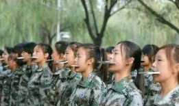 军训教官吃瓜群众视频,一场意外的“瓜界”风云