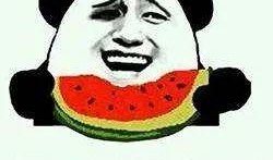 冷眼吃瓜好群众,好群众视角下的社会万象