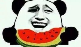 吃瓜群众 亲亲文案,甜蜜互动背后的温馨故事
