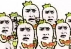 吃瓜群众张五哥,吃瓜群众的视角解读娱乐圈风云