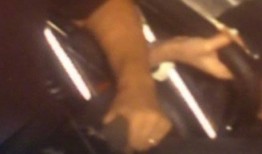 女孩子回复吃瓜群众,女孩神秘回复引发网络热议