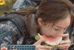 吃瓜群众变胖,揭秘肥胖背后的饮食秘密