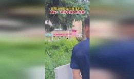 单身狗吃瓜群众图片,揭秘娱乐圈的甜蜜与苦涩