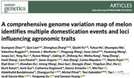 论文吃瓜群众问题,网络舆论场中的角色与影响