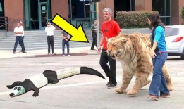 群众纷纷围观吃瓜机器,吃瓜机器引发全民围观现象