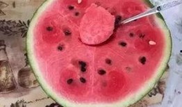 吃瓜群众西瓜产量,揭秘吃瓜群众西瓜产量背后的秘密