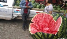 吴川吃瓜群众,揭秘当地独特民俗文化现象