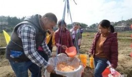 吃瓜群众岱岱 十二弹,揭秘娱乐圈幕后风云