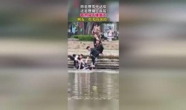 警察驱赶吃瓜群众视频