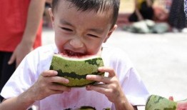 吃瓜群众的家长,吃瓜群众家长视角下的家庭教育启示录