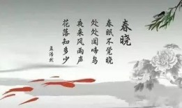 吃瓜群众扮演唐诗宋词视频,穿越时空的文艺盛宴